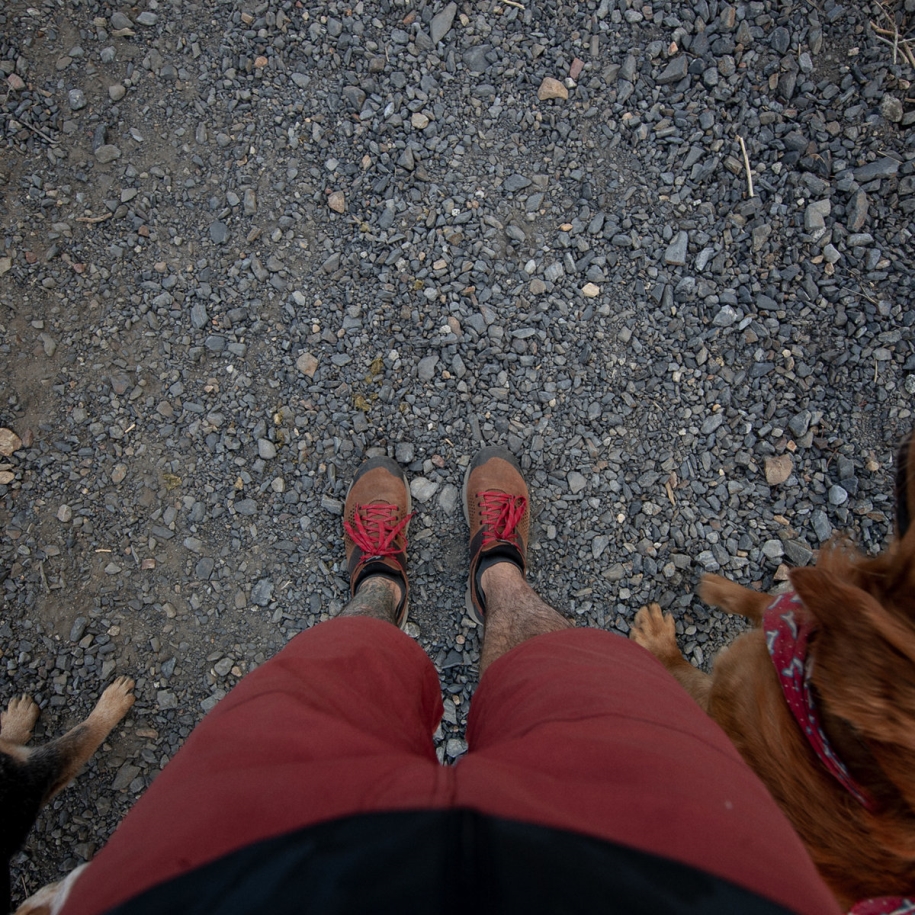 Danner Trail 2650 Brown/Red