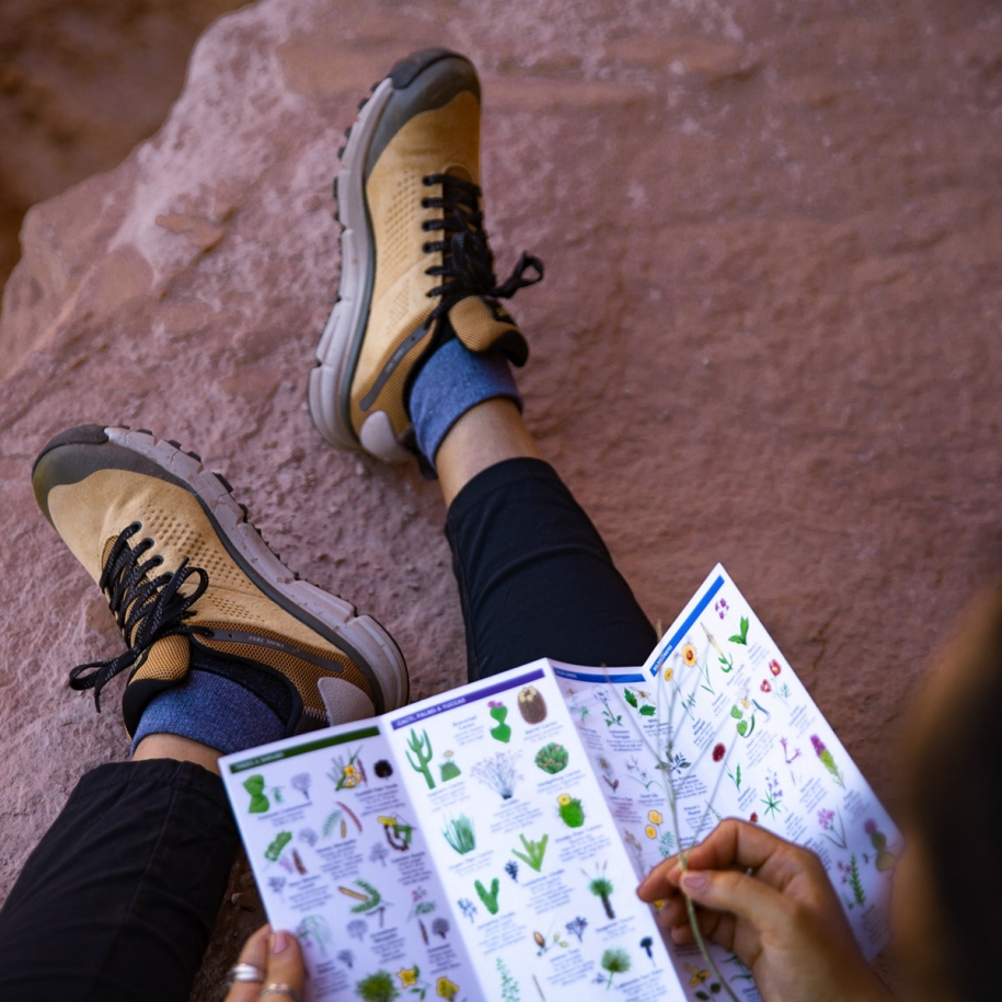 Danner Women's Trail 2650 GTX Prairie Sand/Gray