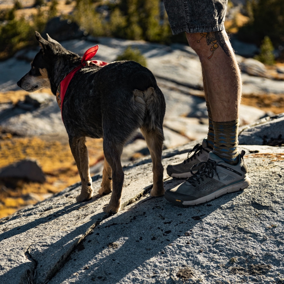 Trail 2650 Charcoal/Goblin Blue Danner